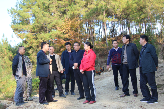 郭智敏深入印江县板溪镇柿坪村调研脱贫攻坚工作