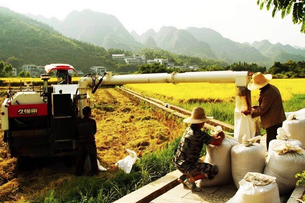 图片2.jpg 图片2.jpg