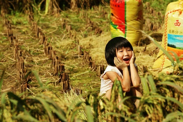 图片3.jpg 图片3.jpg