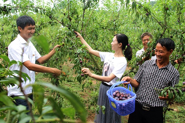 图片7.jpg 图片7.jpg