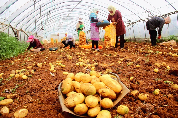 图片6.jpg 图片6.jpg