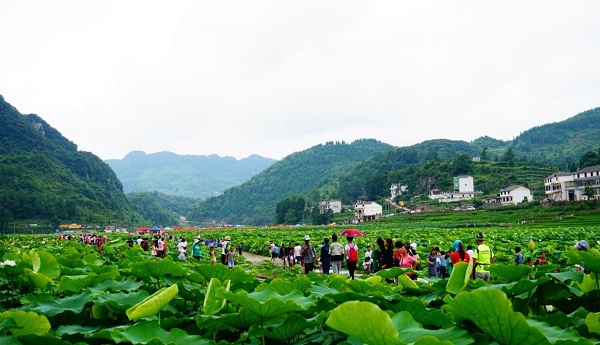 图片9.jpg 图片9.jpg