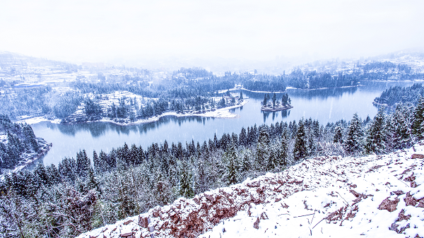 图片3.png 图片3.png