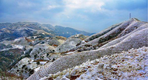 图片5.png 图片5.png