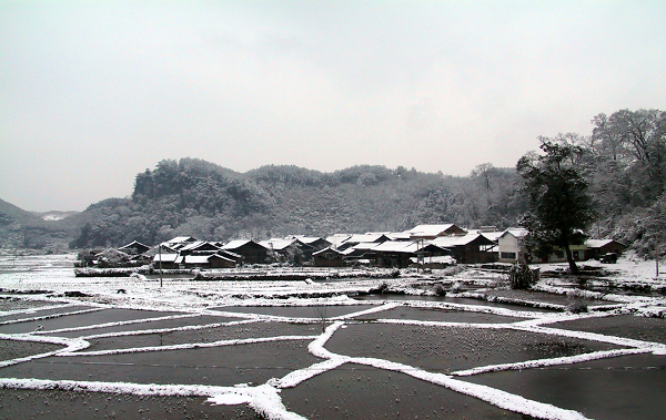 图片4.png 图片4.png