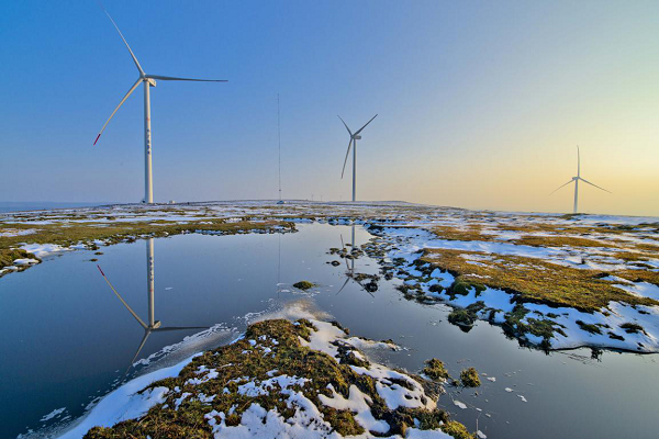 图片6.png 图片6.png