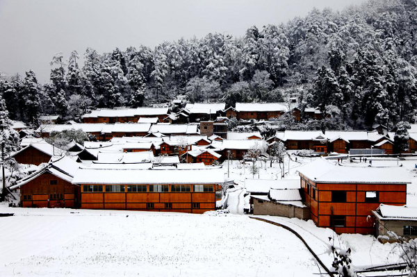 图片7.png 图片7.png