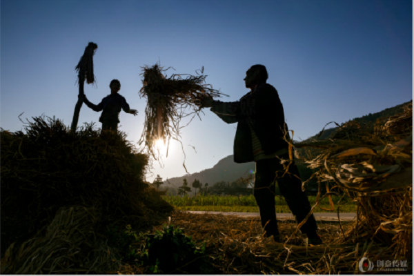 图片9.png 图片9.png