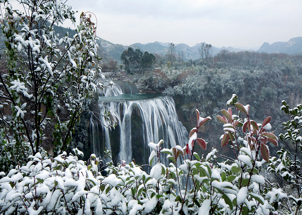 图片2.png 图片2.png