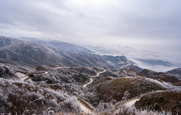 图片4.png 图片4.png