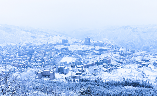 图片5.png 图片5.png