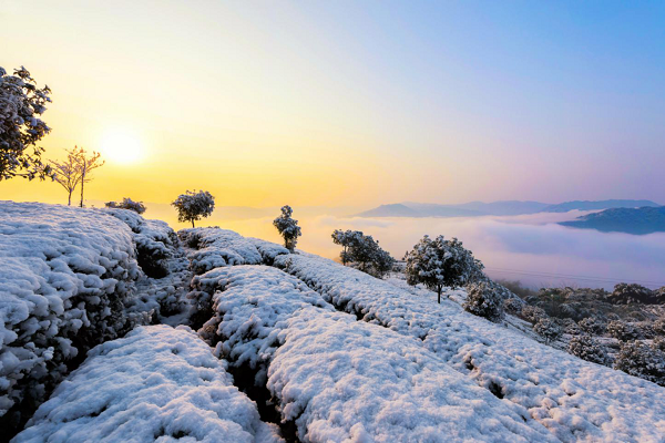 图片6.png 图片6.png