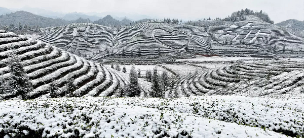 图片7.png 图片7.png