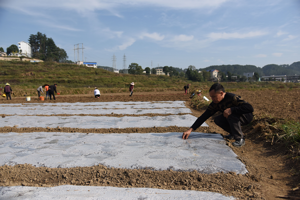 图片9.png 图片9.png