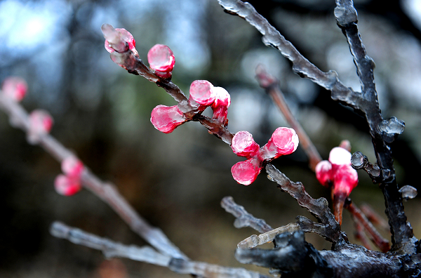 图片3.png 图片3.png